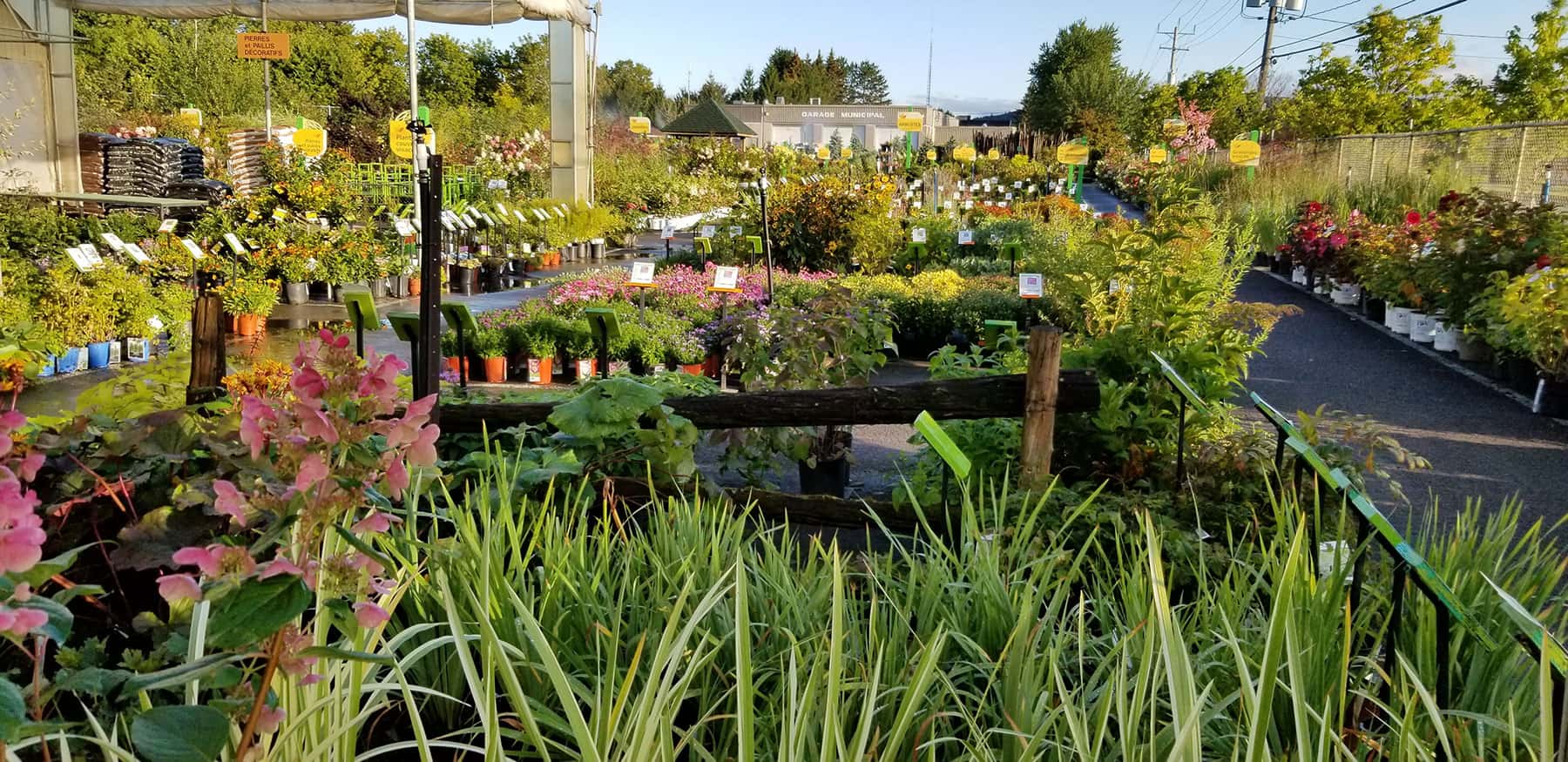 JARDISSIMO Pépinière Lorrain: deux jardineries complètes pour vos besoins